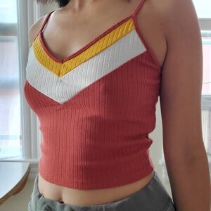 Retro Striped Crop Top